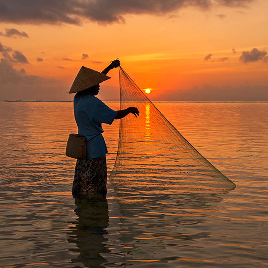 Hauling in Nets