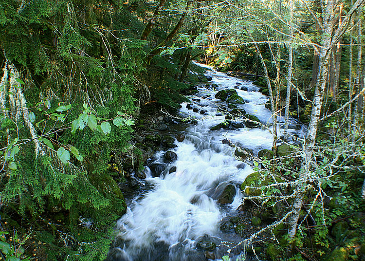 48 Another Creek