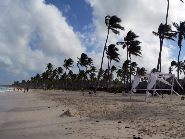 Wedding on the beach?