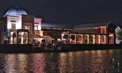 Night Life of the Arts
