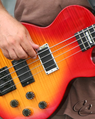 Music at your Fingertips