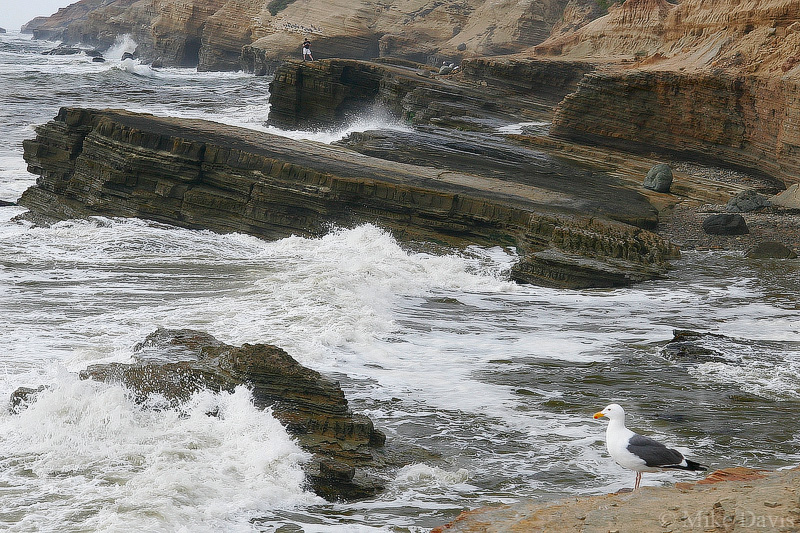 Point Lobos Cliffs