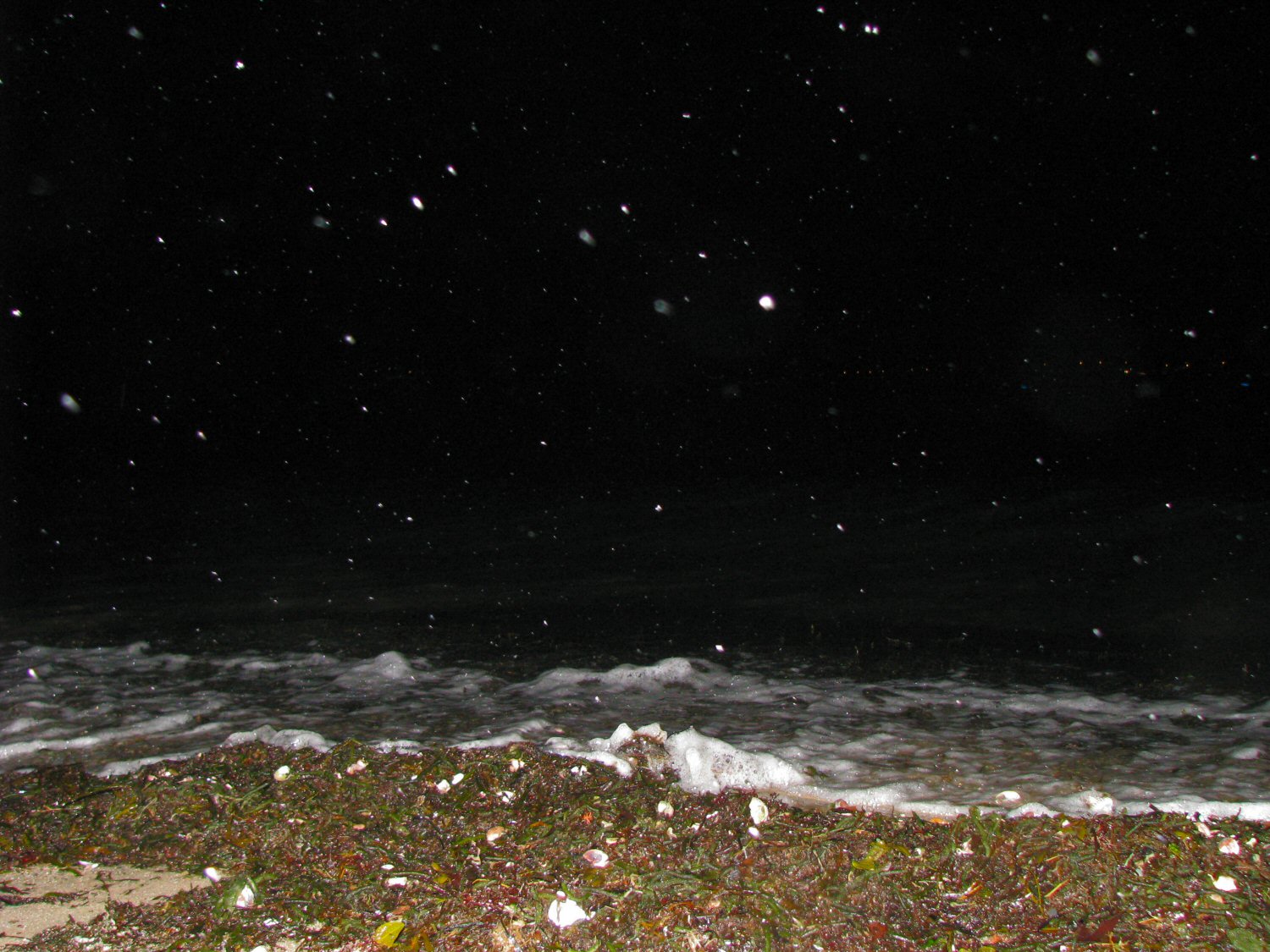 Owen Park Beach Vineyard Haven.jpg