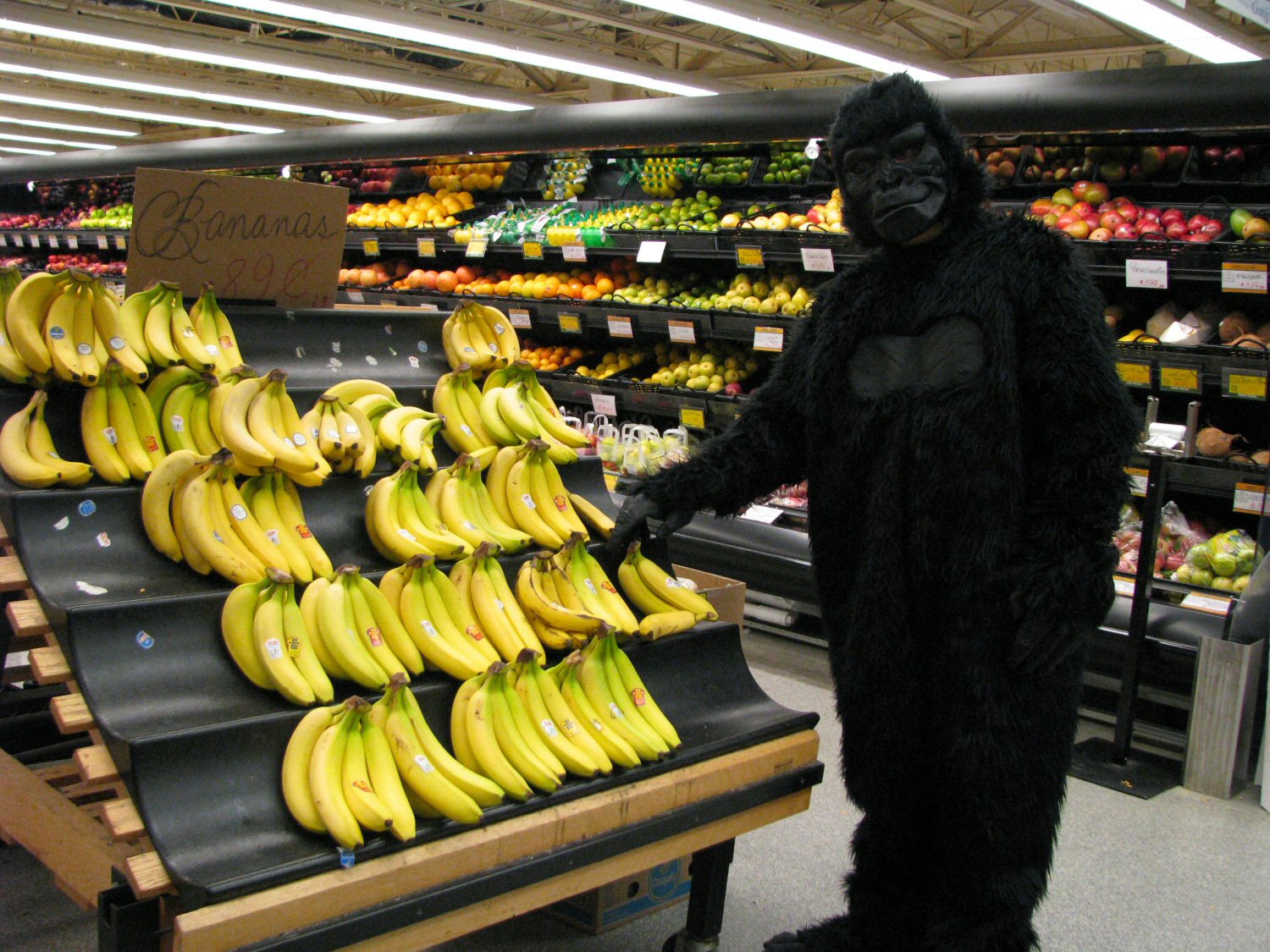 Happy Shopper.jpg
