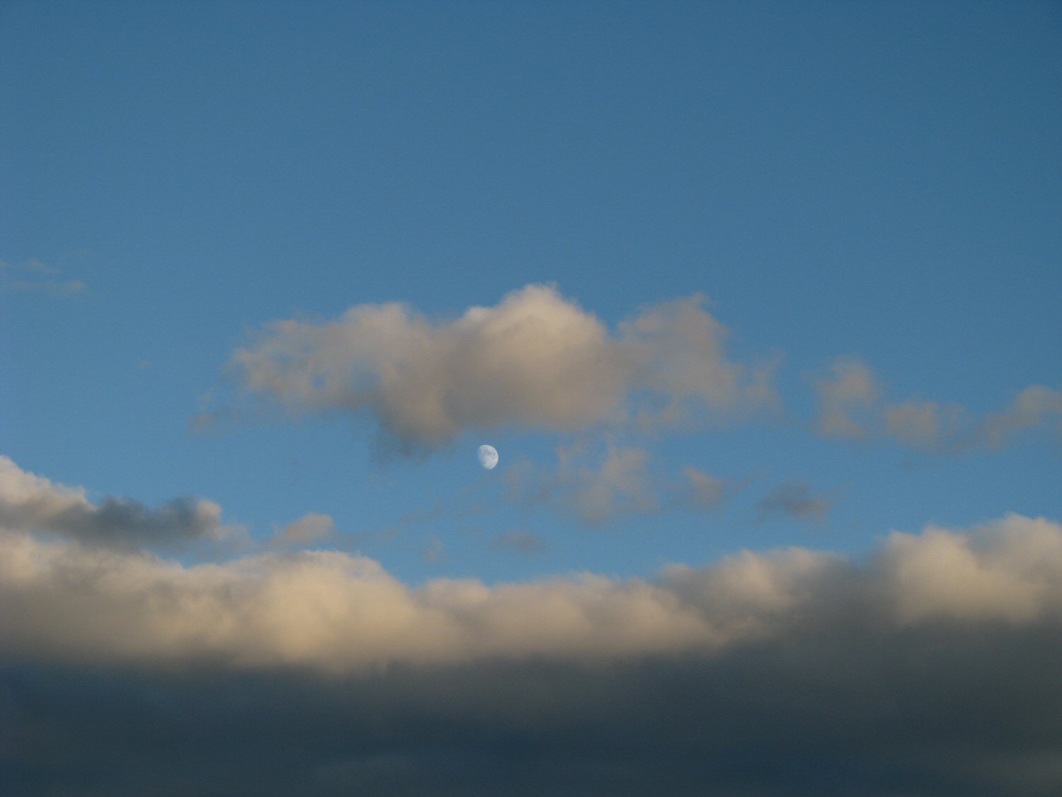 September Moon.jpg