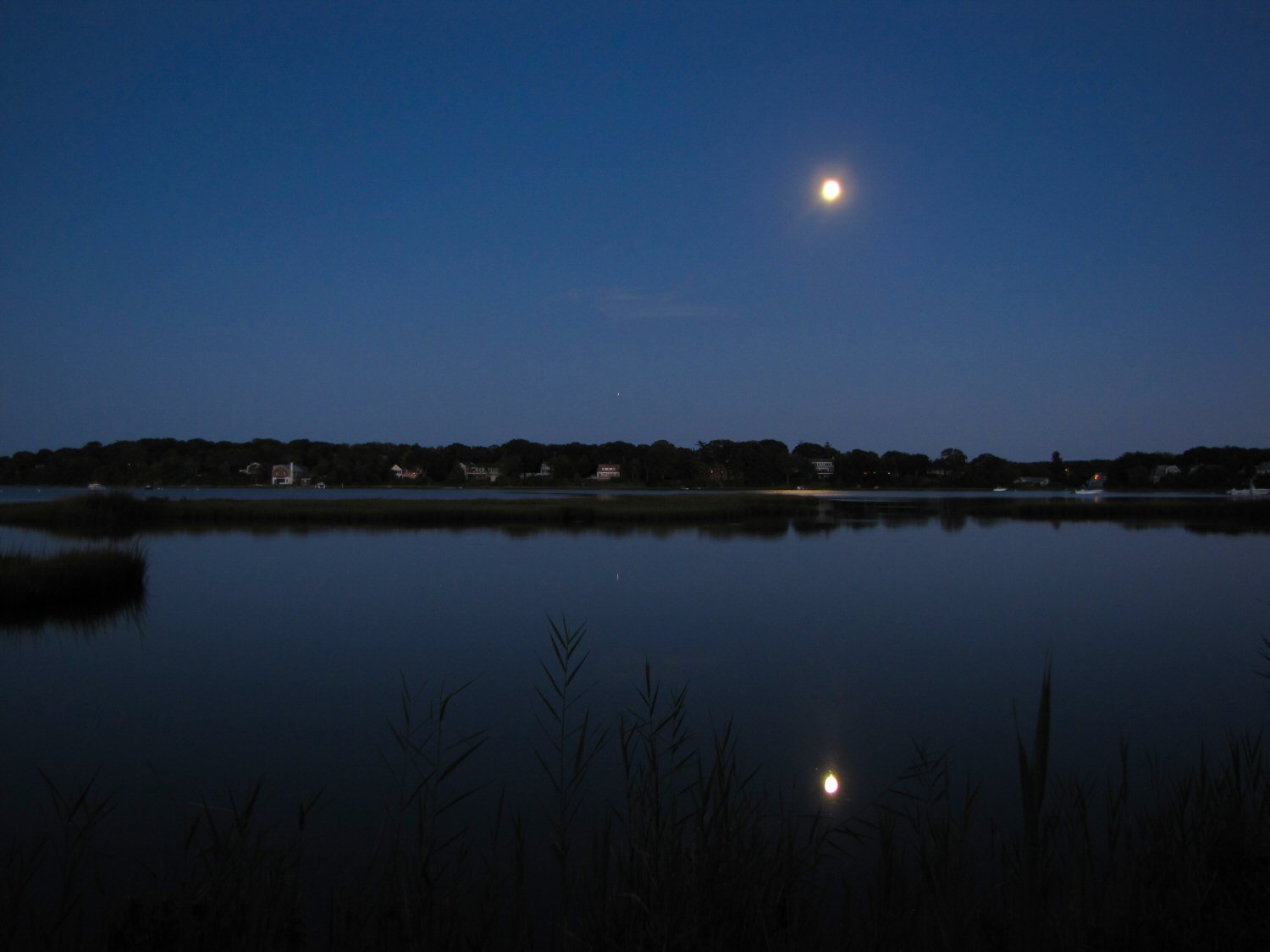 Lagoon Pond.jpg