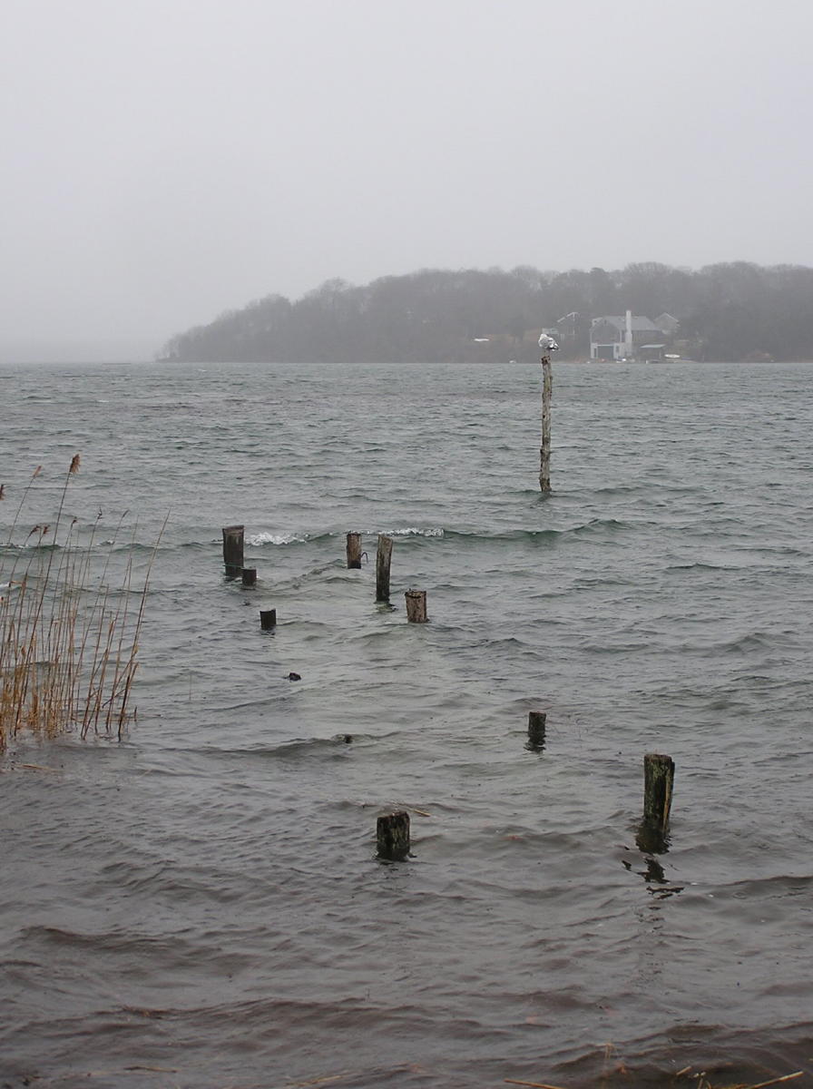 High Tide - Low Dock.jpg