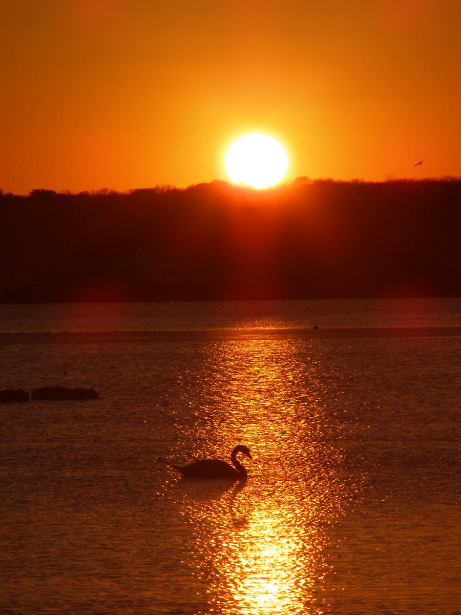 Sunset March 7th.jpg