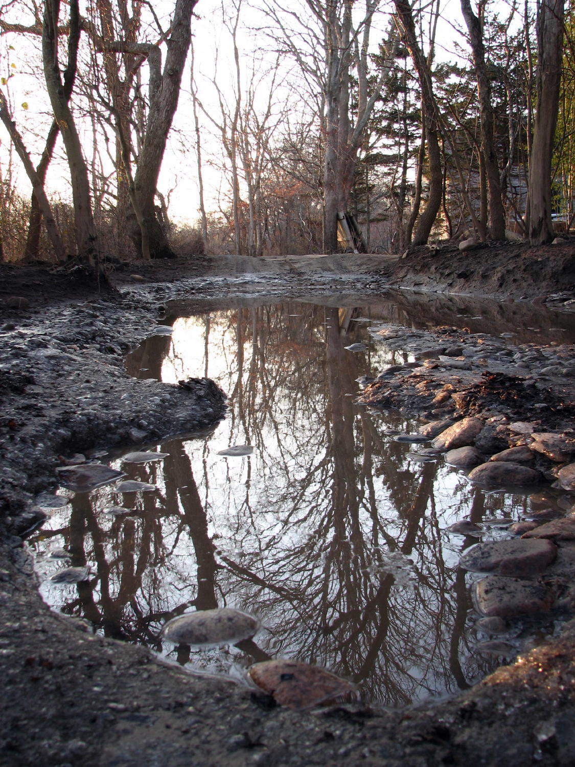 Puddle.jpg