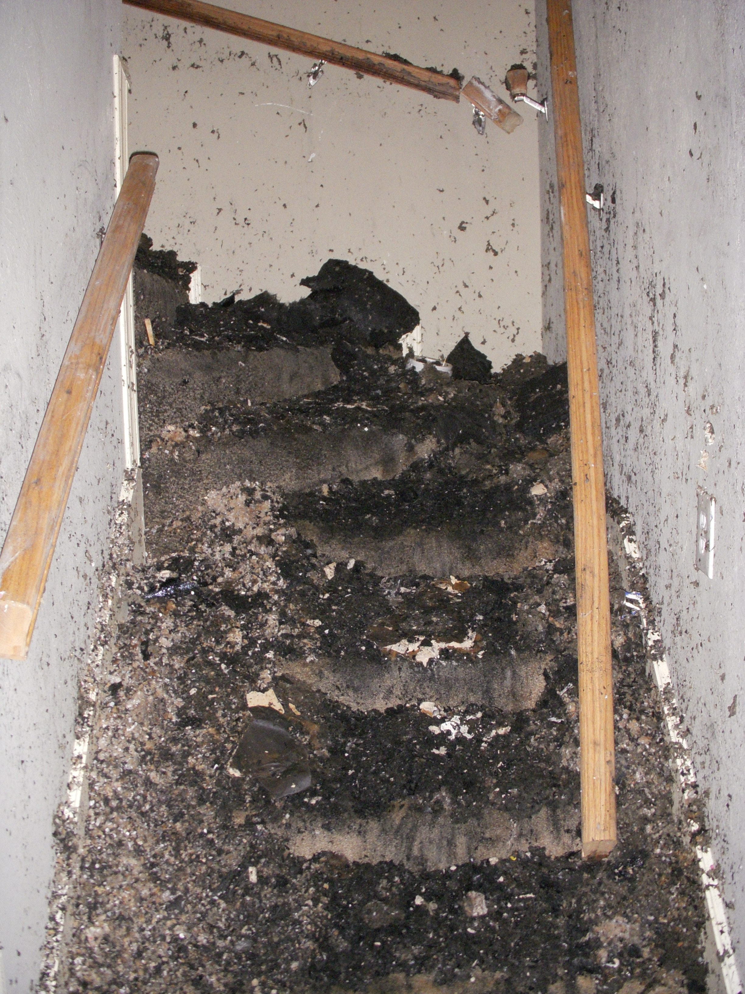DSCN1430.JPG