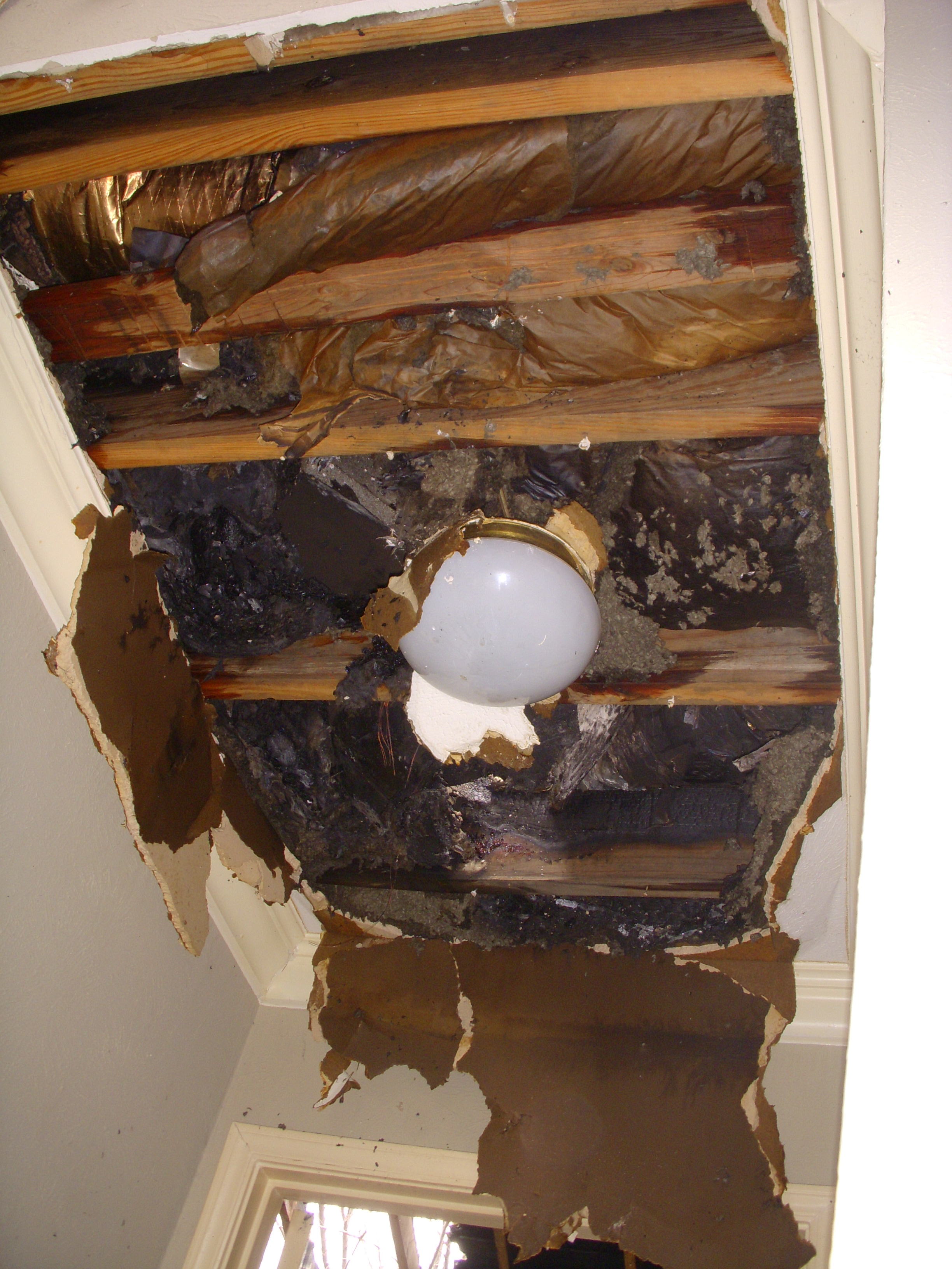 DSCN1442.JPG
