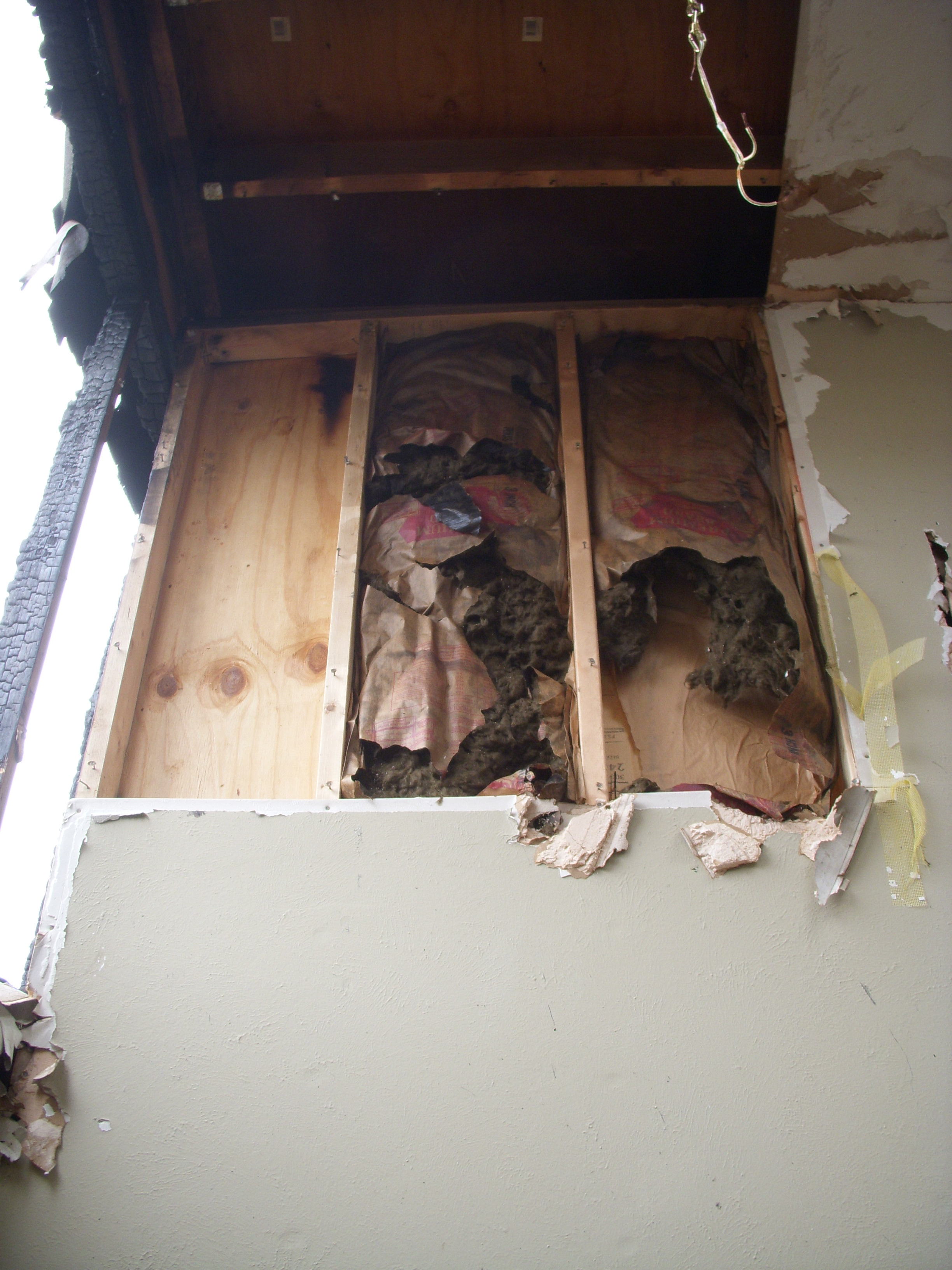 DSCN1456.JPG