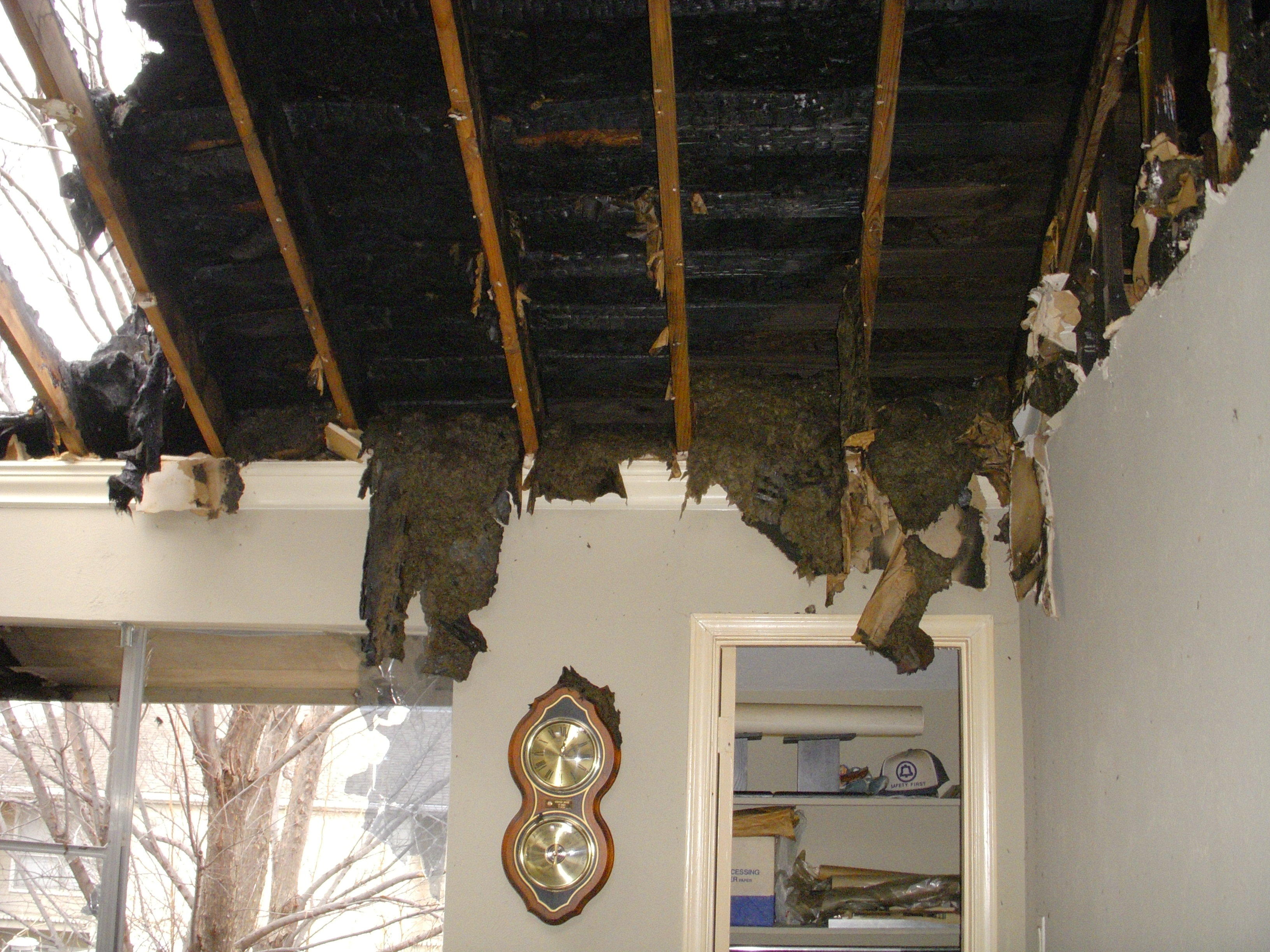 DSCN1469.JPG