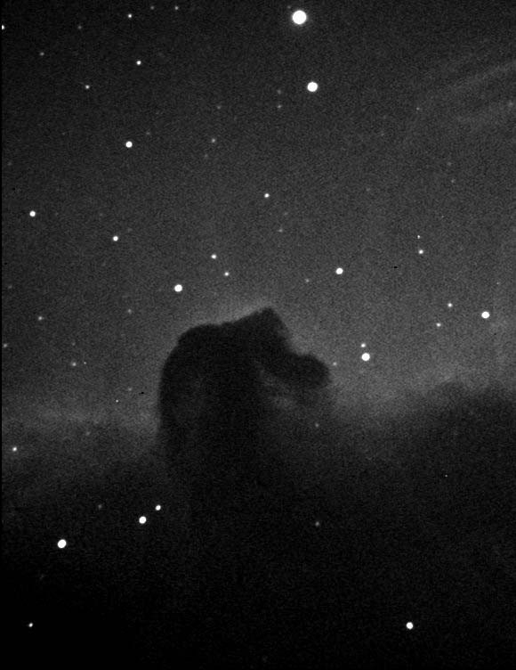 HorseHead in Halpha