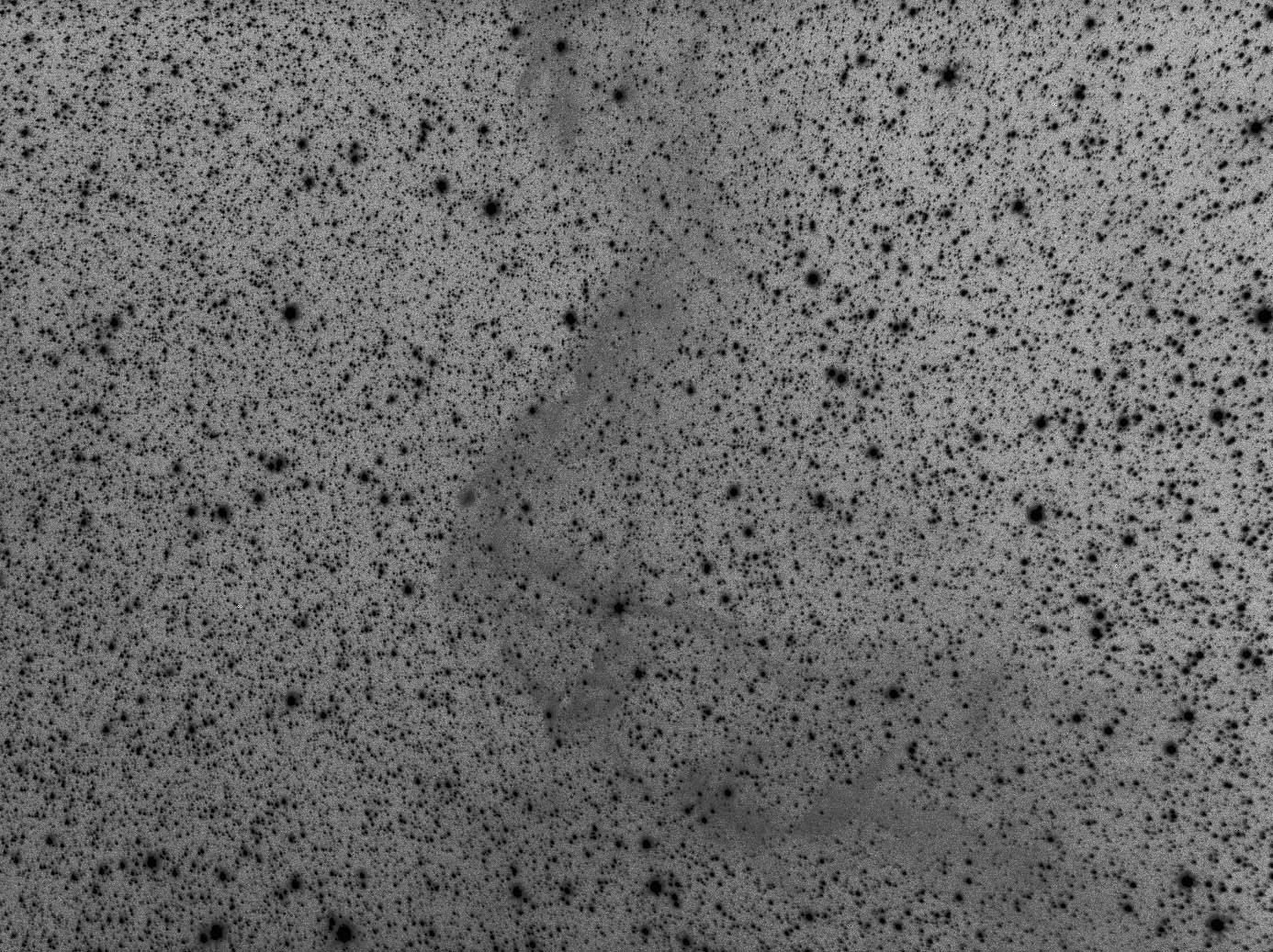 IFN nebula in Apus (wide field)