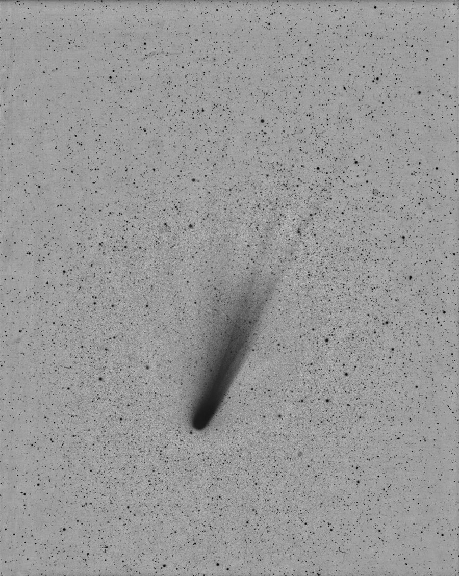 Halleys Comet March 1986 (negative)