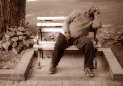 58494757-L.jpg
