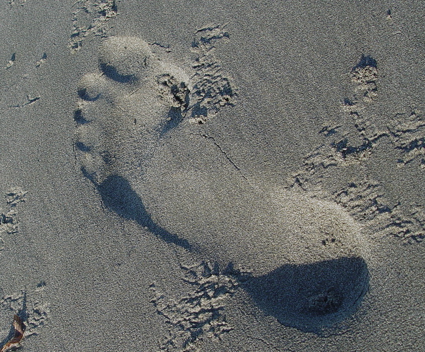 left-footed sand castle