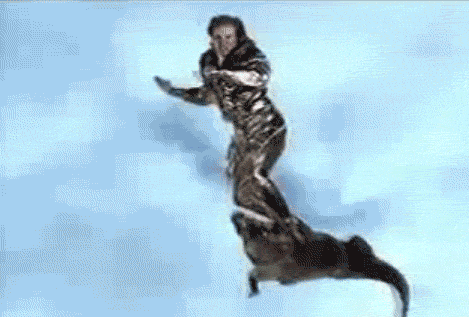 46996058g6.gif