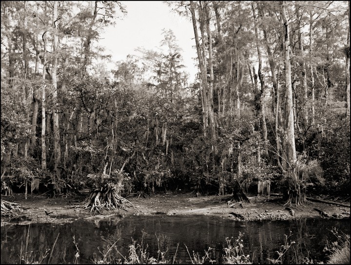 Dry Season. May 2005.