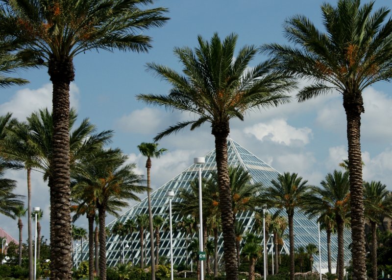 Moody Gardens Palms & Rain Forest Pyramid