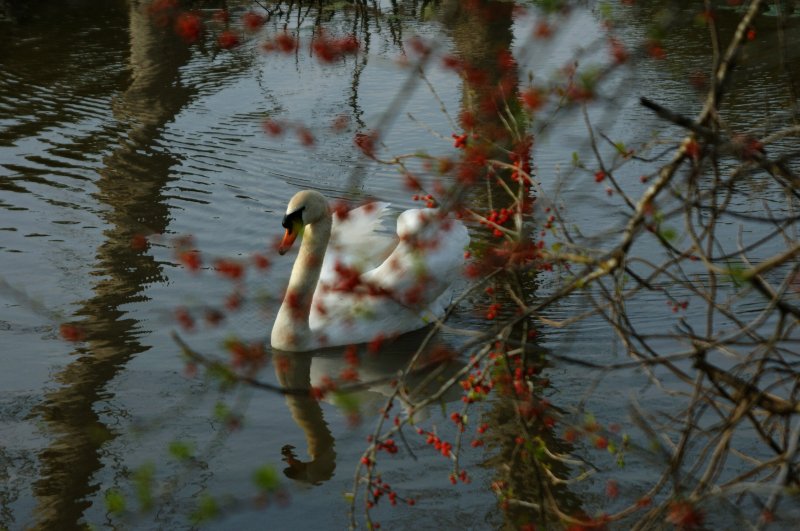 Background ~ Foreground