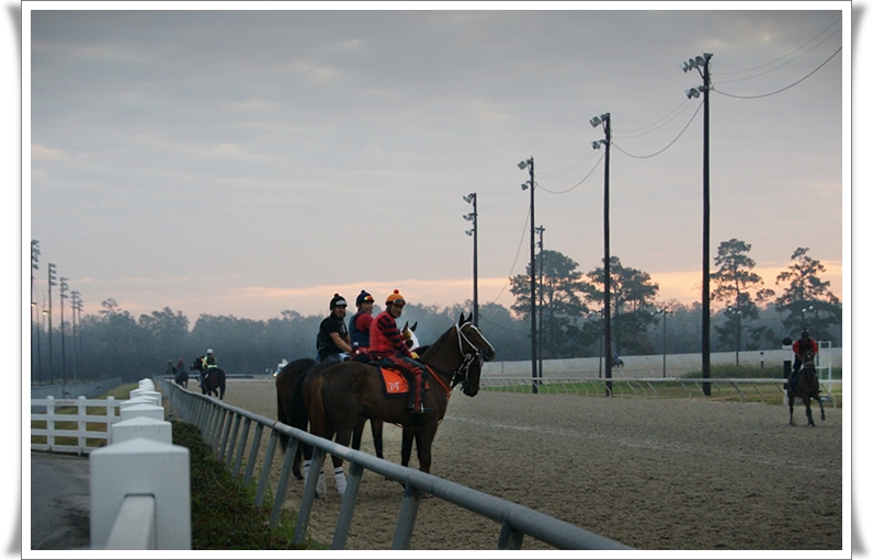 The Horse I Bet On Was So Slow, the Jockey Kept a Diary of the Trip