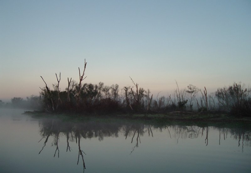 Foggy Sunrise