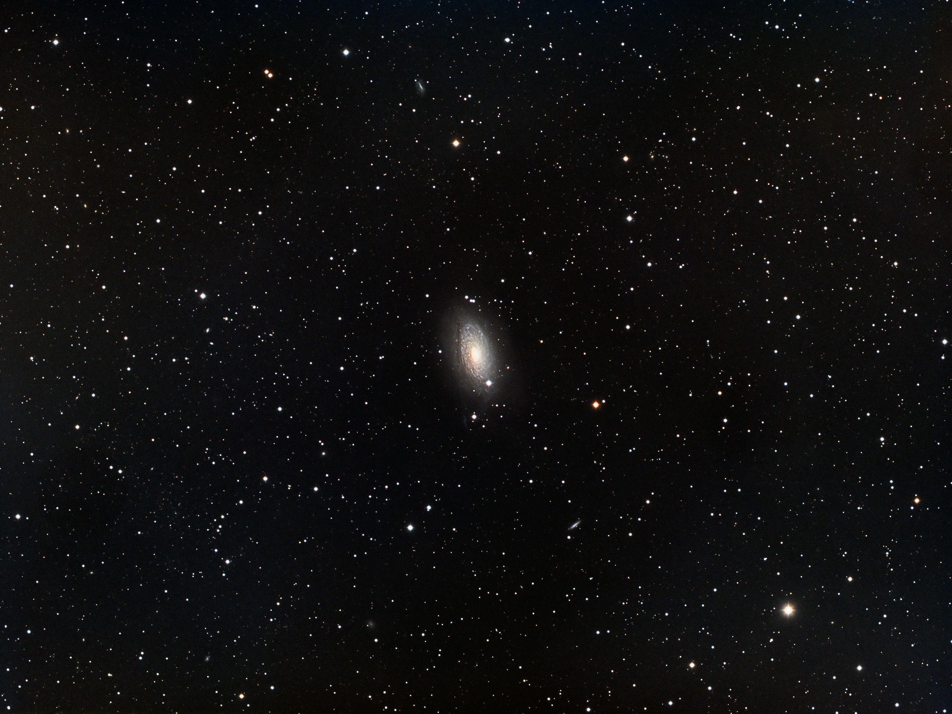 M63