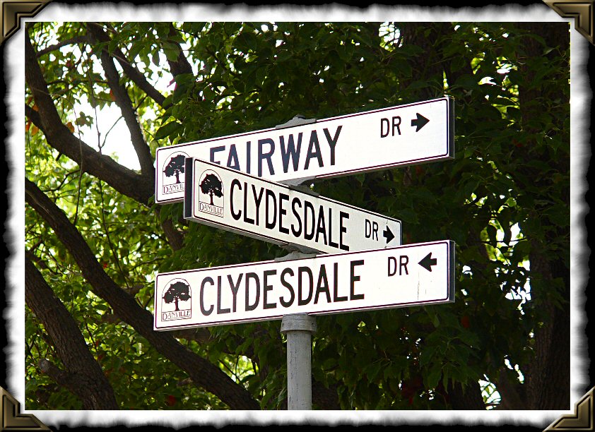 dsc09931 sample signs.jpg