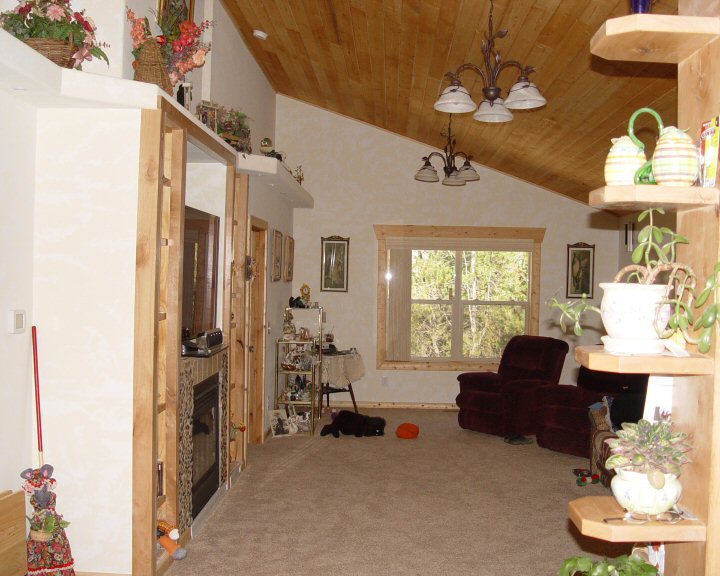 dsc000159 living room fireplace side view sample.jpg
