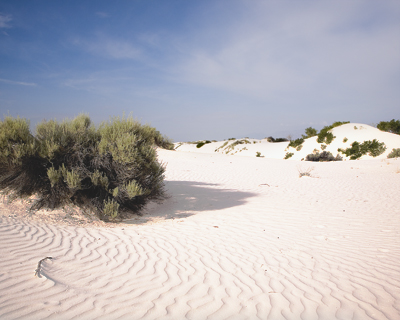 o4/29/923129/1/115062425.TvuZYdmM.WhiteSands__003.jpg