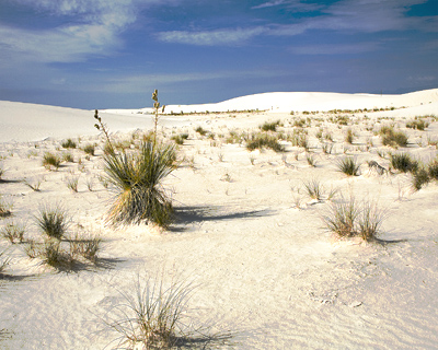 o4/29/923129/1/115062429.CLPiRBAG.WhiteSands__028.jpg