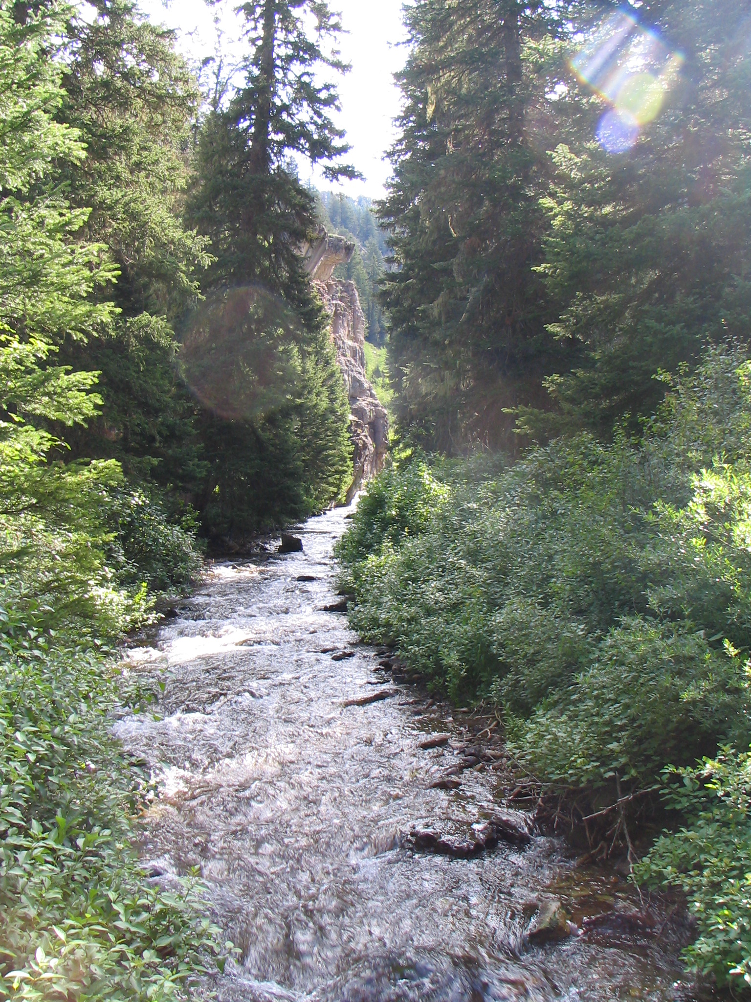 Upstream