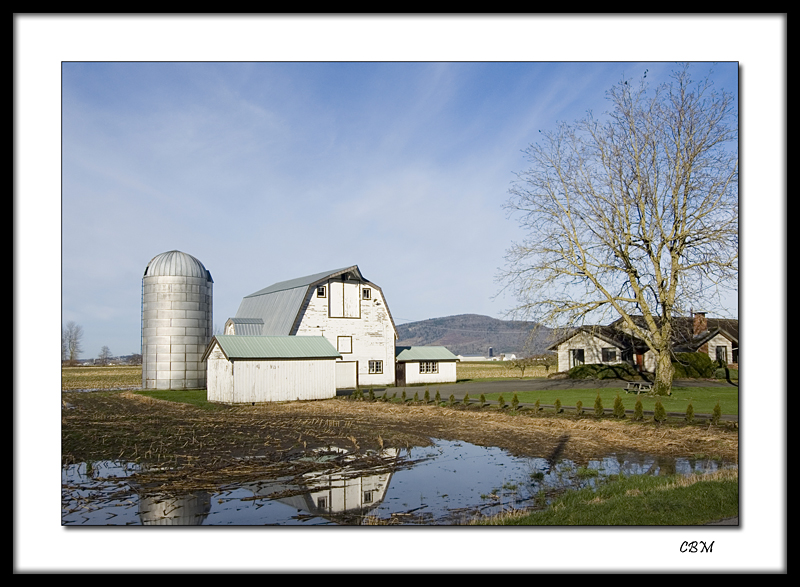 White barn  after the rains