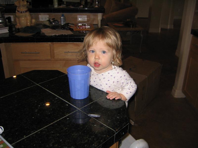 111_1193 (Medium).JPG