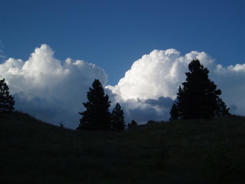 Billowing Clouds