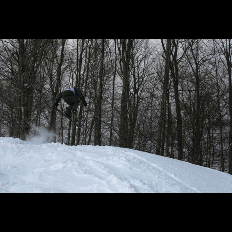 Animation15loop.gif