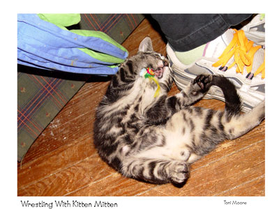 Wrestling the Kitten Mitten