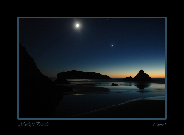 Moonlight  Prevails