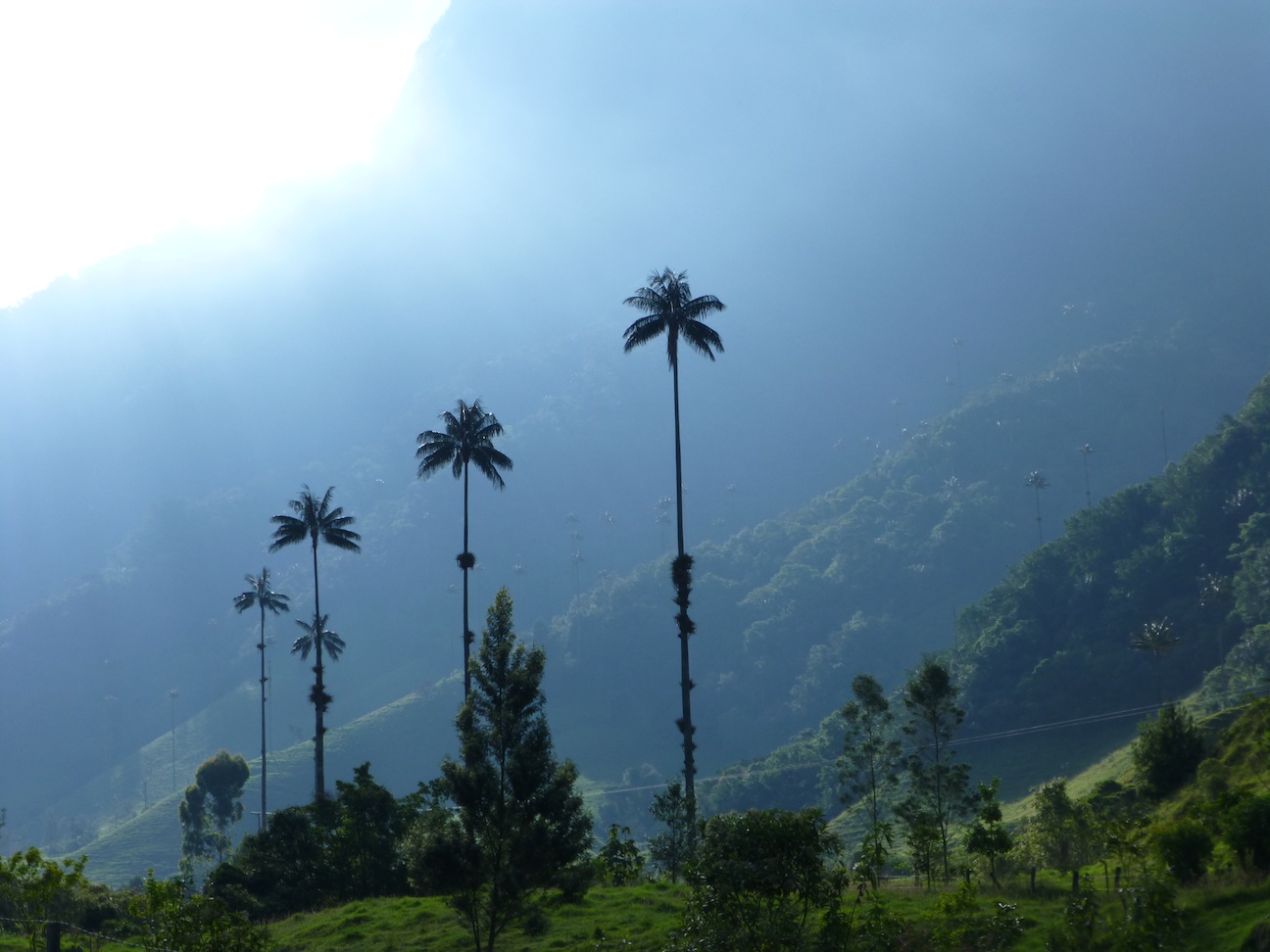 Valle de Cocora hike