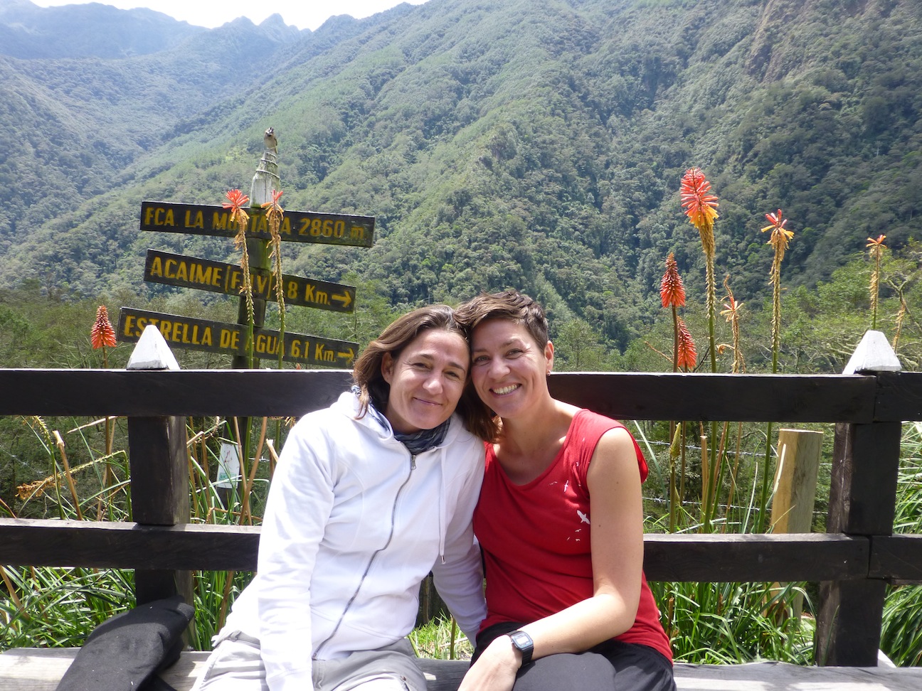 Valle de Cocora hike