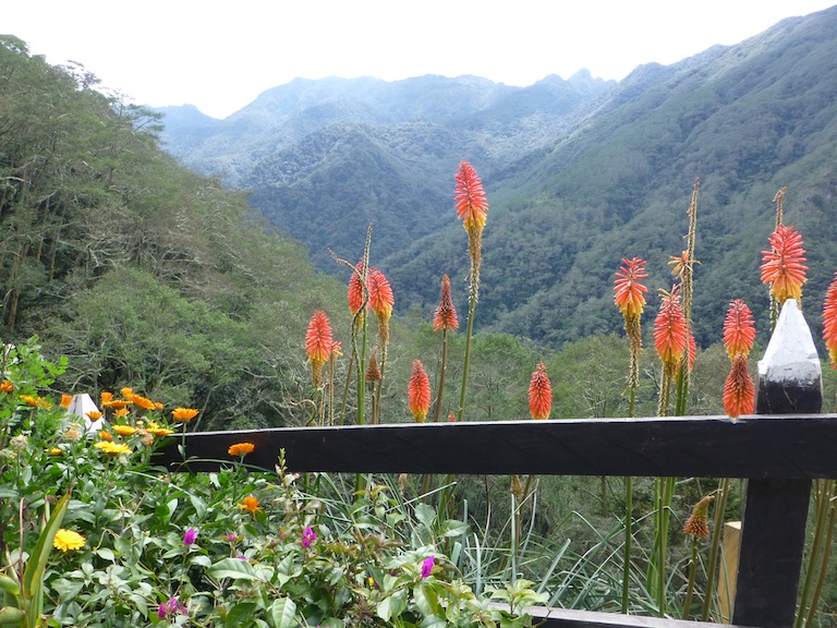Valle de Cocora hike