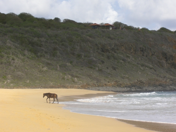Praia do Leo