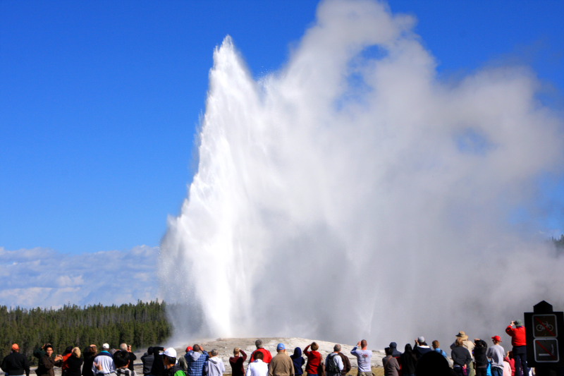 Old Faithful erupting (approx. 90 minute  frequency) - Yellowstone National Park