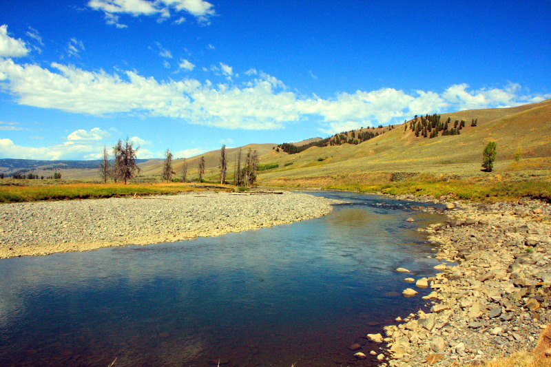 Lamar River, Lamar Valley - Yellowstone National Park