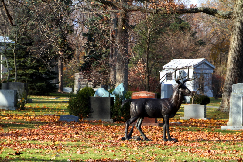 Lake Forest Cemetery