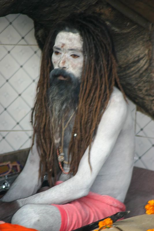 Sanyasi, Haridwar