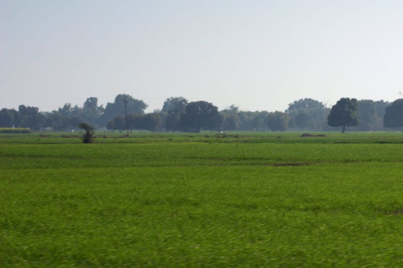 Where are the Gopikas?, Vrindavan, Uttar Pradesh