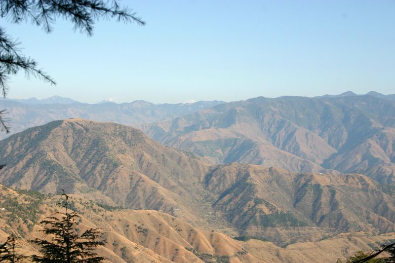 Perfect serenity, Chail, Himachal Pradesh